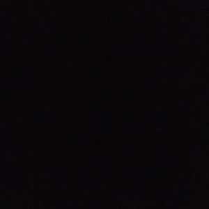 Meet your Posher, Madhabi